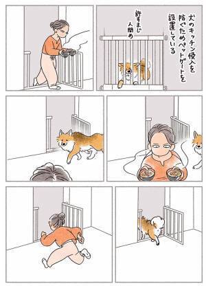 味噌汁を運ぶ飼い主　それを見た犬が、まさかの行動に