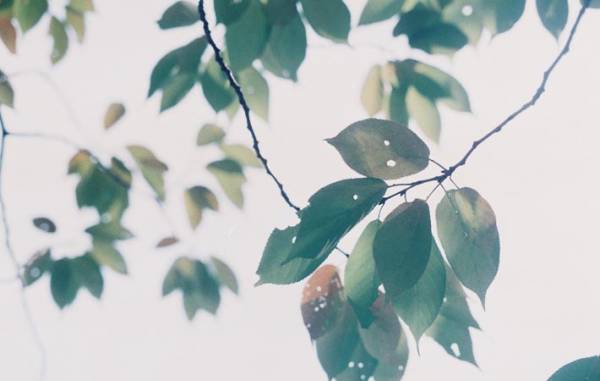 『思い込み』は視野が狭くなっているのかも　新しいフェーズの歩み方も進化しながらいきたいもの