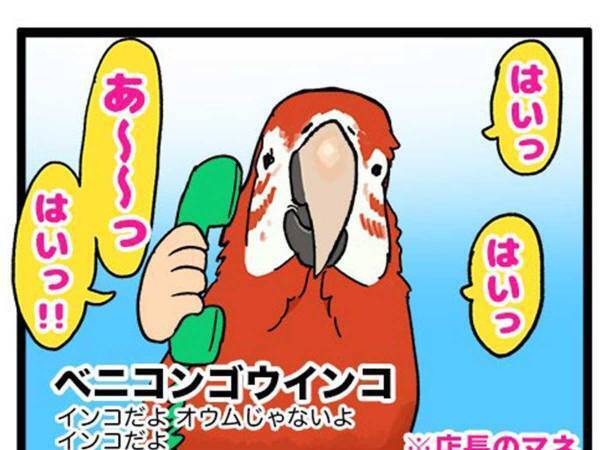 ペットショップで、電話が鳴り…　店長が「恥ずかしい！」と赤面した理由は？