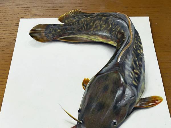 「触れるのが怖くなる」　『ナマズ』が写る写真に、ネットがざわつく