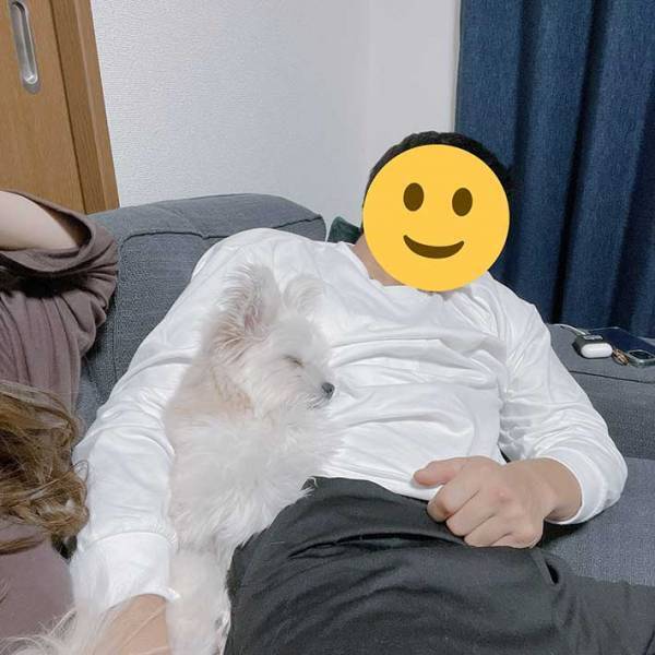 犬の『露骨な対応』に爆笑　２６秒の動画に「切ない…！」「何度も見ちゃう」