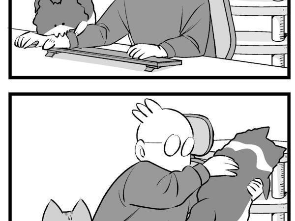 飼い主「永久機関」　猫をどかすも…終わりが見えない