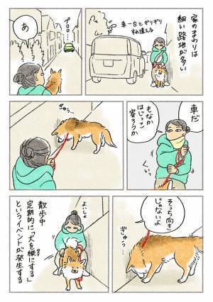 犬との散歩中に『イベント発生』　狭い道で車が来たら…