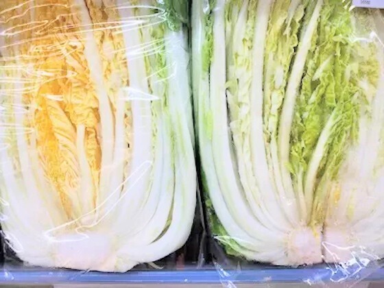 カットされた白菜の選び方　実は『中の葉の色』で見分けがついて？