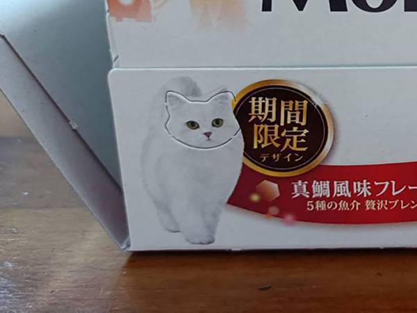 この箱には６匹の猫が隠れている… パッケージの遊び心にワクワクが止まらない