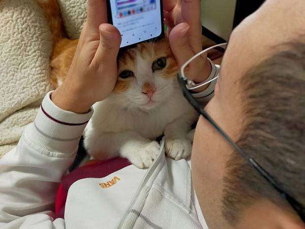 「僕を見て！」控えめにアピールする猫がかわいすぎる