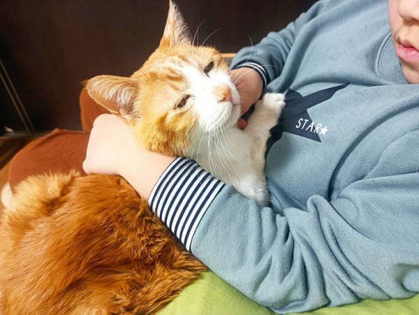 「僕を見て！」控えめにアピールする猫がかわいすぎる