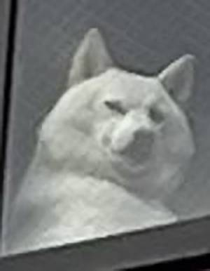 あなたはこの視線に気付けるか！？　正体に「圧が強すぎ」「表情で笑った」