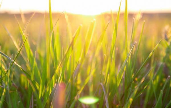 強さというのは外に対して発するものではなく、自分の内に向けるもの