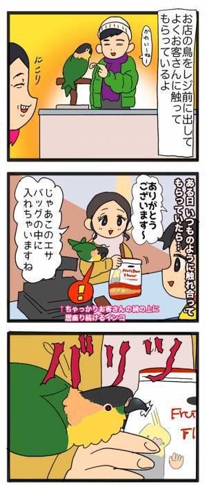 インコが、客の商品にガブッ！　その後、客の『神対応』に店員が感動