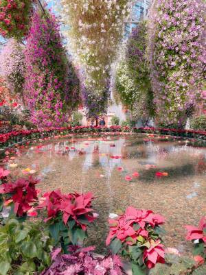 「これが現実の光景…？」　夢のような花畑を撮影した写真が話題に