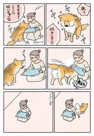 飼い主、呆然…　吐きそうな愛犬の前で、シーツを持って待っていたら？