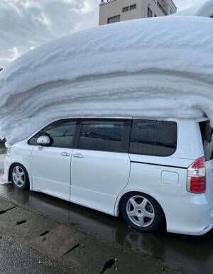まるで寿司のよう…　車に積もった雪の量が「えげつない」