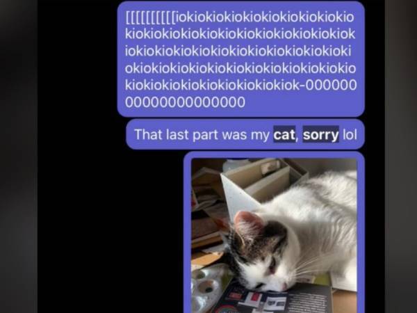 仕事のチャット画面に謎のメッセージが？　送信した『犯人』に大笑い！