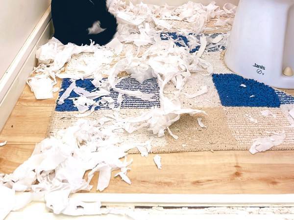 散らかったトイレットペーパー　現場にいた犯人の顔が清々しい…！