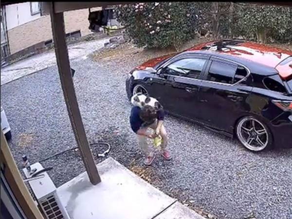 毎日来てほしい…！　洗車中に来る野良猫の様子に「もはや飼い猫よ」