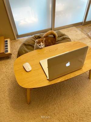 「またやられた…」　ZOOM会議中、少し目を離すと？