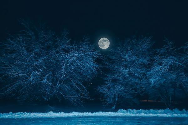 澄んだ空気に映えるスノームーン　２月１６日の夜空はちょっと特別