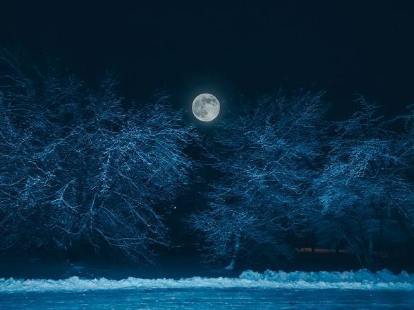 澄んだ空気に映えるスノームーン　２月１６日の夜空はちょっと特別