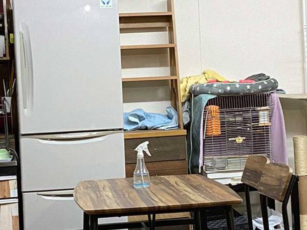 猫はどこにいる？　「あ！これか！」「一瞬で見つけたよ」