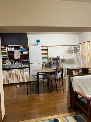 猫はどこにいる？　「あ！これか！」「一瞬で見つけたよ」