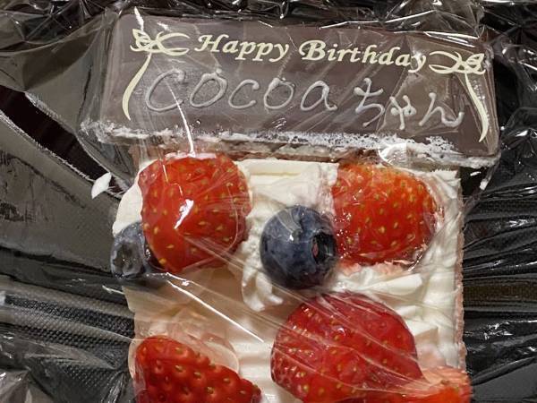 お隣さんからもらった『おすそ分けのケーキ』に「いや…」