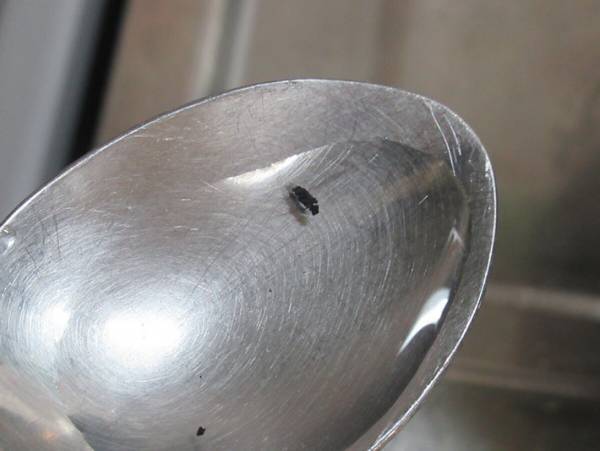 コンロの焦げは１００均で売ってるアレで簡単に落とせる