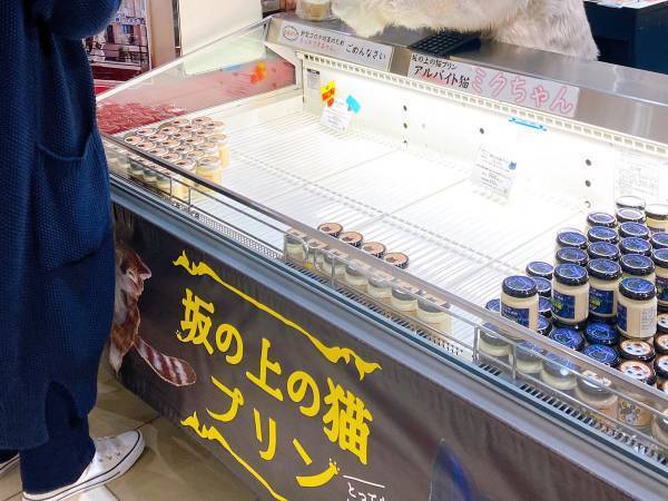 イオンでプリンを販売していた店員の姿に「二度見した」「来てほしい」