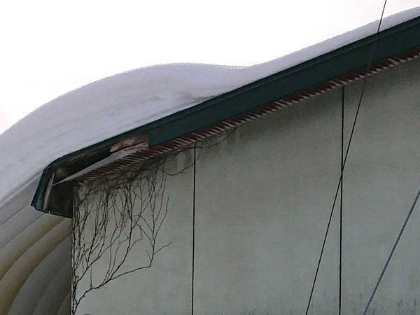 「こんなの初めてみた」　屋根の上からせり出した雪がとんでもない形に！