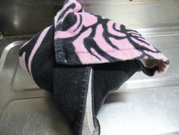 小腹がすいたら試してみて！電子レンジで作れる手作りプリン