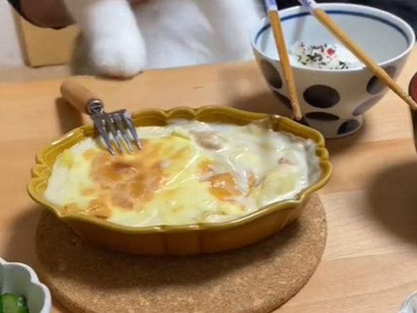食卓に座った猫が、その後…　取った行動に「お利口さんだ」「人間みたい」