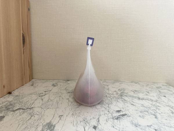 入手困難と話題のダイソー『シリコーン保存袋』の実力って？実際に使ってみた