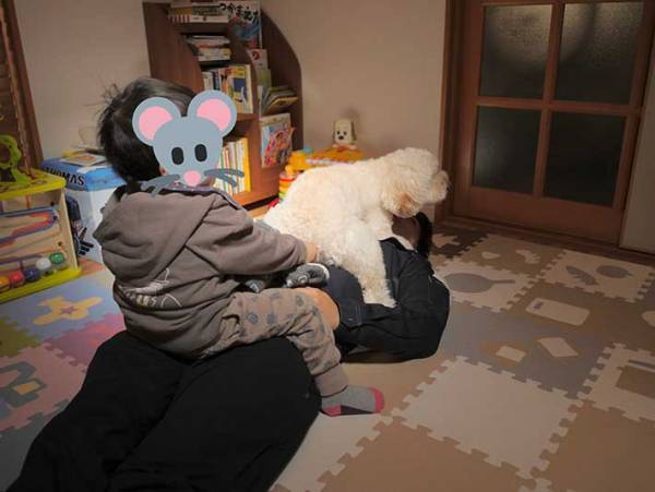 パパが帰ってきた！　その後、犬と息子の行動に笑ってしまう