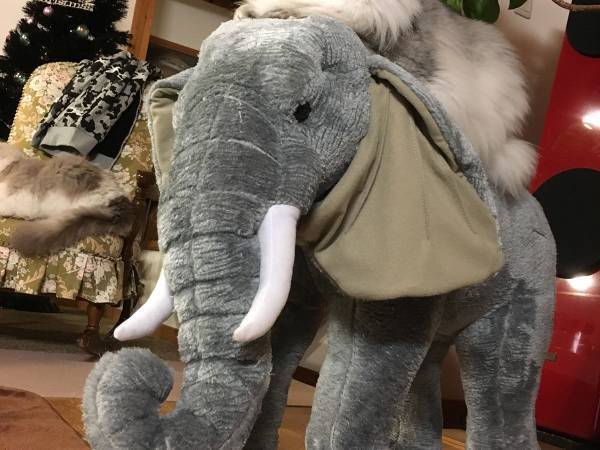 猫が座っている場所にツッコミ不可避　何万もの家来が見えるようだ…