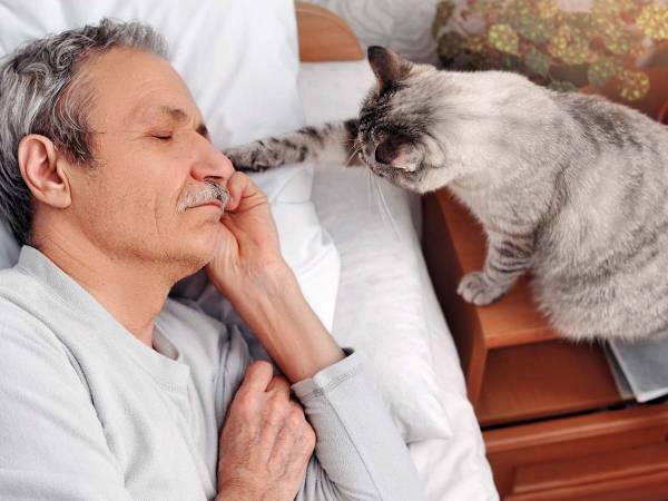 動画再生１５３万回　寝ている飼い主を起こしたい猫が？　「かわいすぎる！」