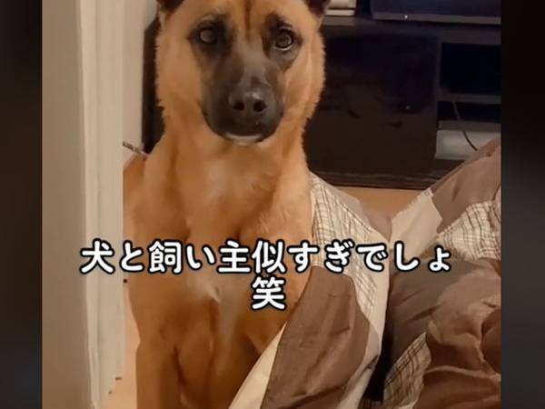 飼い主と犬を見比べてみると…　「想像以上に似てた」「もはや兄弟」