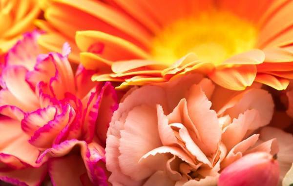 『人生ベスト１０』を考えてみると、幸せを感じる感性が高まってくる