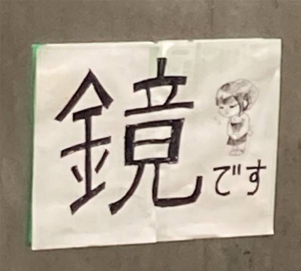 一見すると普通の階段の踊り場　思わぬトラップに「全然分からなかった…」