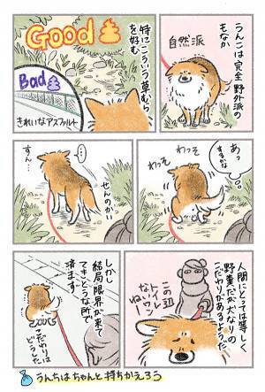 散歩中、うんちをしようとした犬　飼い主のツッコミに「あるある！」「分かる ー！」