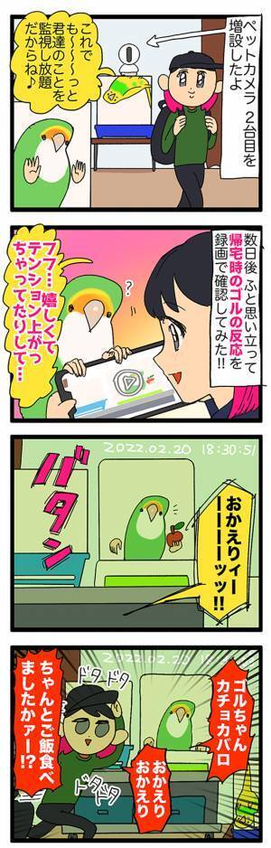 飼い主がドン引き　ペットカメラに映っていたのは？