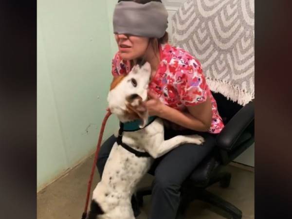 目隠しをして、犬たちの名前を当てられる？　保護施設の職員が挑戦したら…