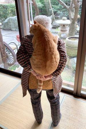 祖母と猫のツーショットに「最高！」「組み合わせが神」