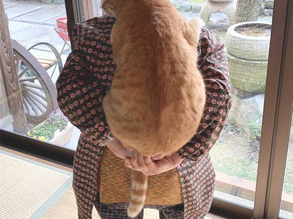 祖母と猫のツーショットに「最高！」「組み合わせが神」