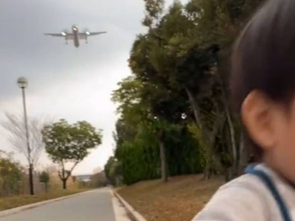 大好きな飛行機を、息子が間近で見ると「分かる」「笑った」