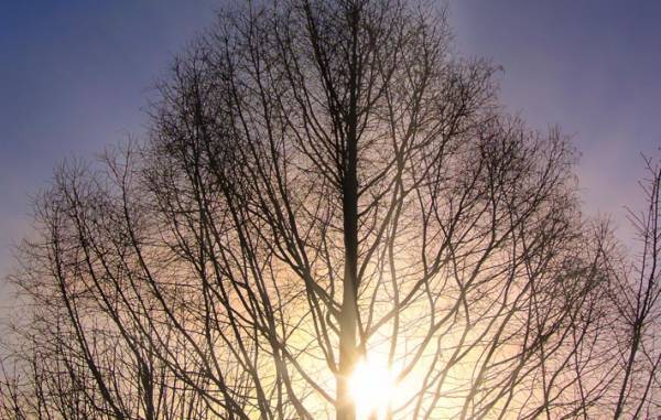 人生の『走馬灯』　旅立つ日、母はどんな光景を見たのだろう