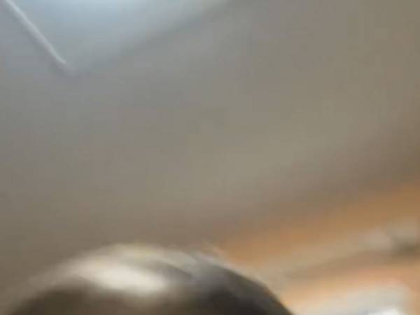 スマホに、いつの間にか撮影されていた動画　「ニヤニヤが止まらない」