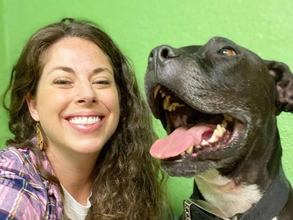 夜中に、ある女性の家に侵入した野良犬　実はそこは…？　「賢い犬だ」