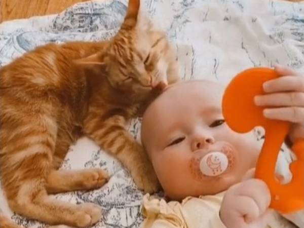 まるで『きょうだい』のよう！　一緒に育った赤ちゃんと子猫にほっこり