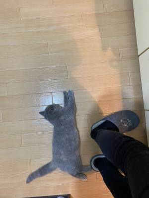 気付かずにいると、大変なことに！　料理中の飼い主のすぐ後ろには？