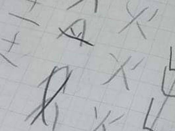 宿題で漢字の書き取りを行った息子　特徴に、ハッとした